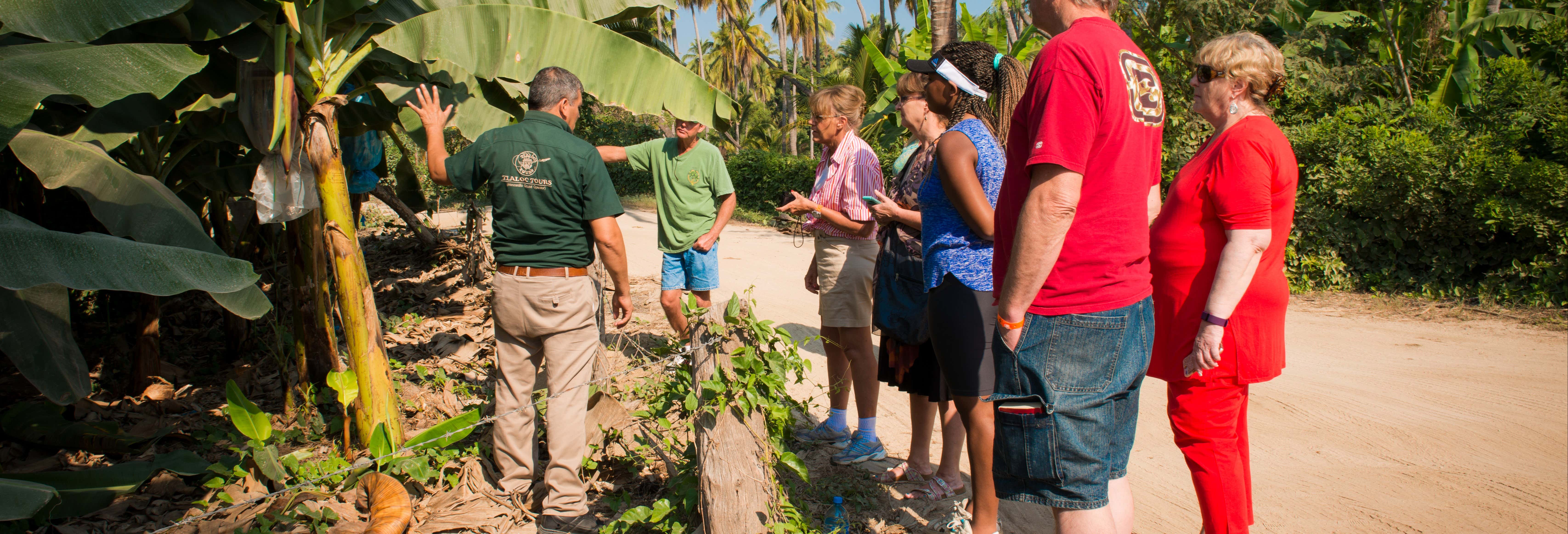 Tropical Fruit Tour