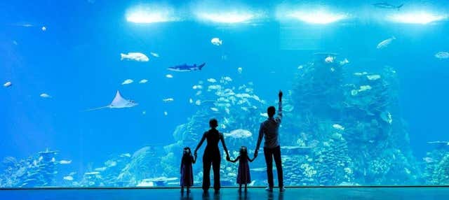 Biglietti per il Gran Acuario Mazatlán