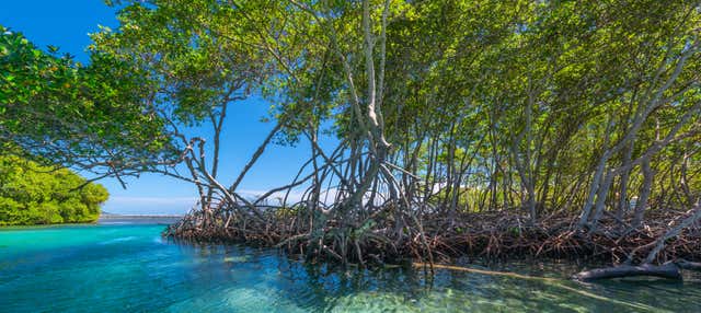 Escursione a Isla de la Piedra