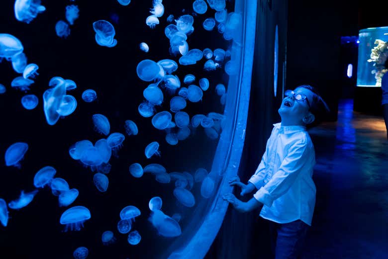 Imagen de Entrada al Gran Acuario Mazatlán