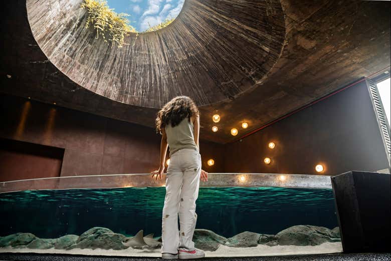 Imagen de Entrada al Gran Acuario Mazatlán