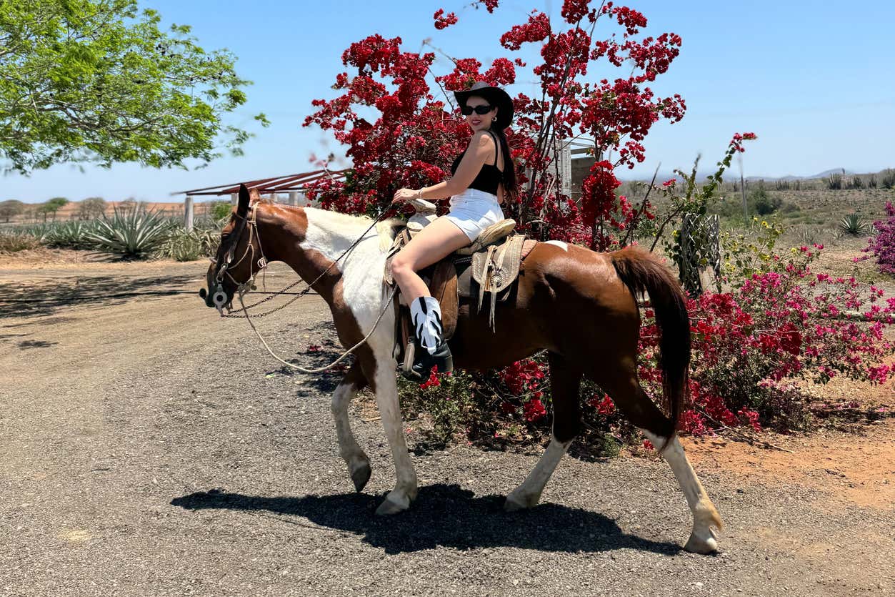 Paseo a caballo por la playa y selva de Mazatlán