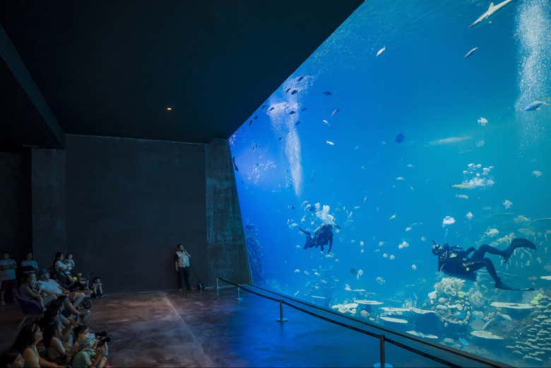 Entrada al Gran Acuario Mazatlán