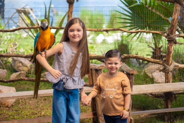 Imagen de Entrada al Gran Acuario Mazatlán
