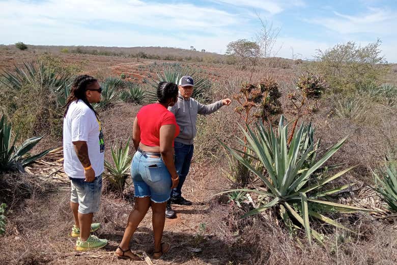 Visita al Rancho Mr. Lionso + Degustación de mezcal