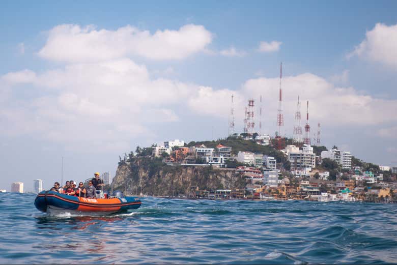 Imagen de Avistamiento de ballenas en Mazatlán + Museo de la Ballena