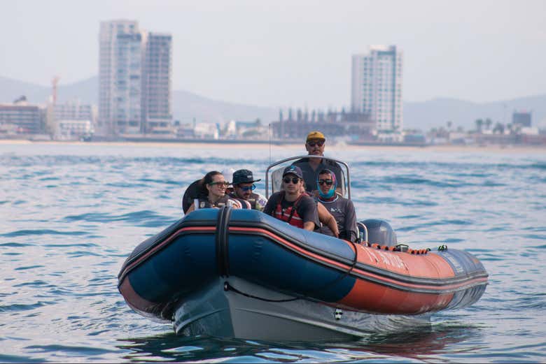 Imagen de Avistamiento de ballenas en Mazatlán + Museo de la Ballena