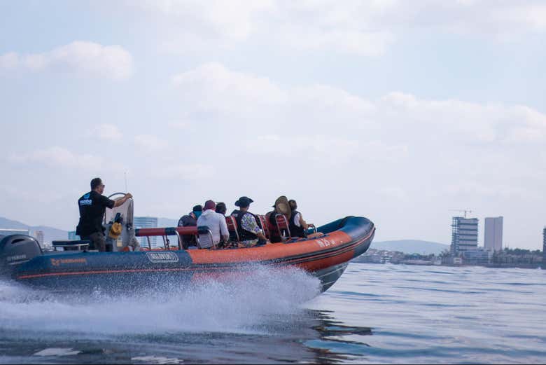 Imagen de Avistamiento de ballenas en Mazatlán + Museo de la Ballena