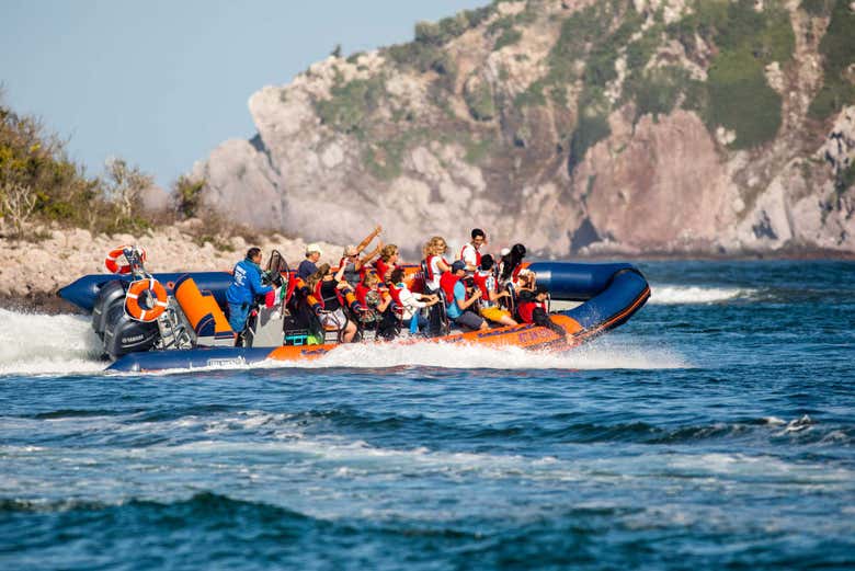 Paseo en lancha rápida por la bahía de Mazatlán + Entrada al Museo de la Ballena