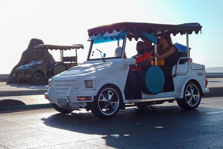 Tour panorámico en coche pulmonía