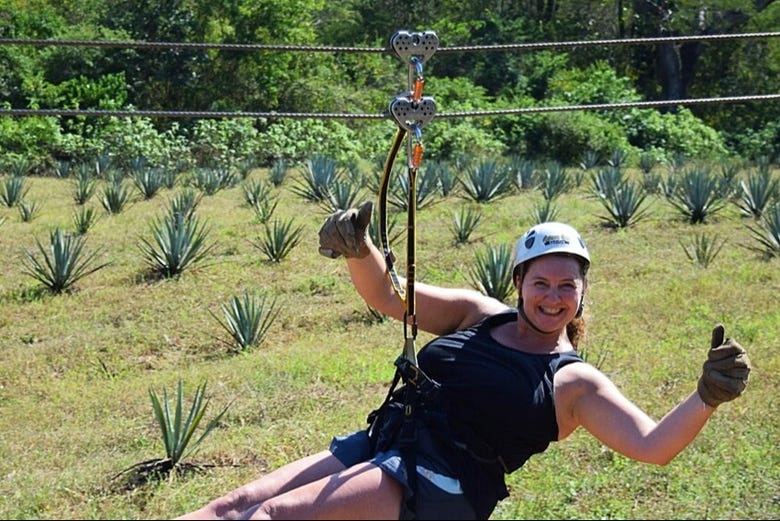 Tirolina en Mazatlán + Visita a una destilería de tequila