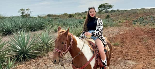Passeggiata a cavallo alla spiaggia e foresta di Mazatlán