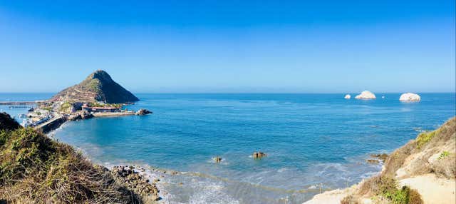 Giro in motoscafo nella baia di Mazatlán + Biglietto per il Museo della Balena