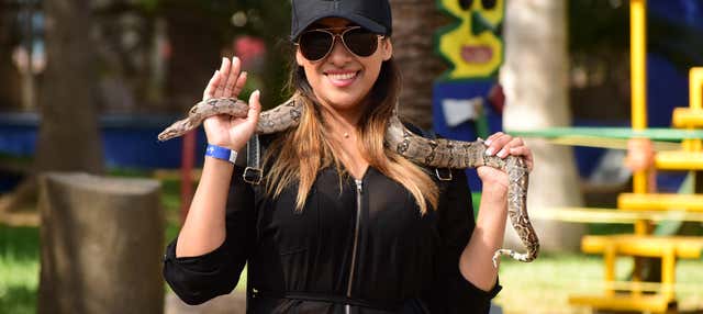 Tour di Mazatlán + Acquario
