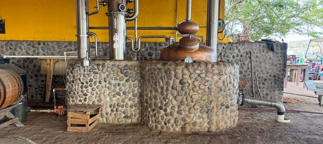 Visita del Rancho Mr. Lionso + Degustazione di mescal