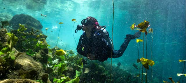 Immersione per principianti in un cenote di Mérida