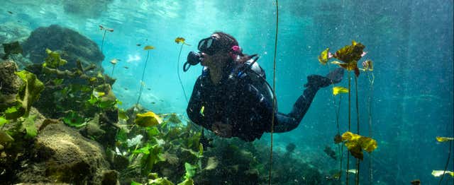 Buceo en Mérida (Yucatán)