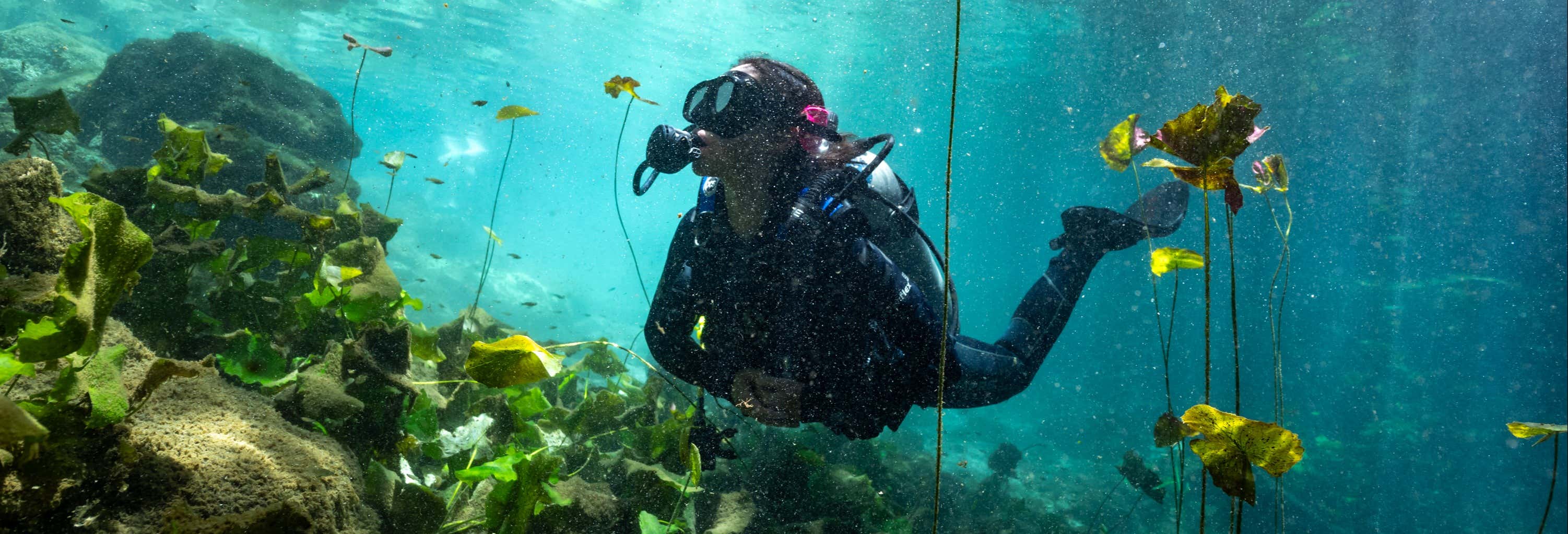 Immersione per principianti in un cenote di Mérida