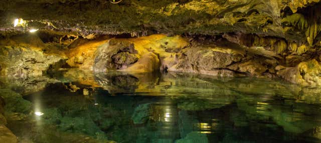 Escursione al cenote San Ignacio