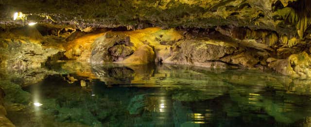 Excursion au cénote San Ignacio