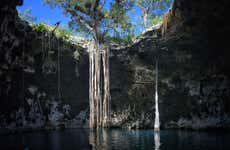 Santa Barbara Cenotes Day Trip
