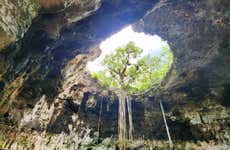 Homun Cenotes Day Trip