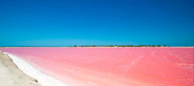 Escursione a Las Coloradas e Río Lagartos