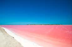 Excursión a Las Coloradas y Río Lagartos