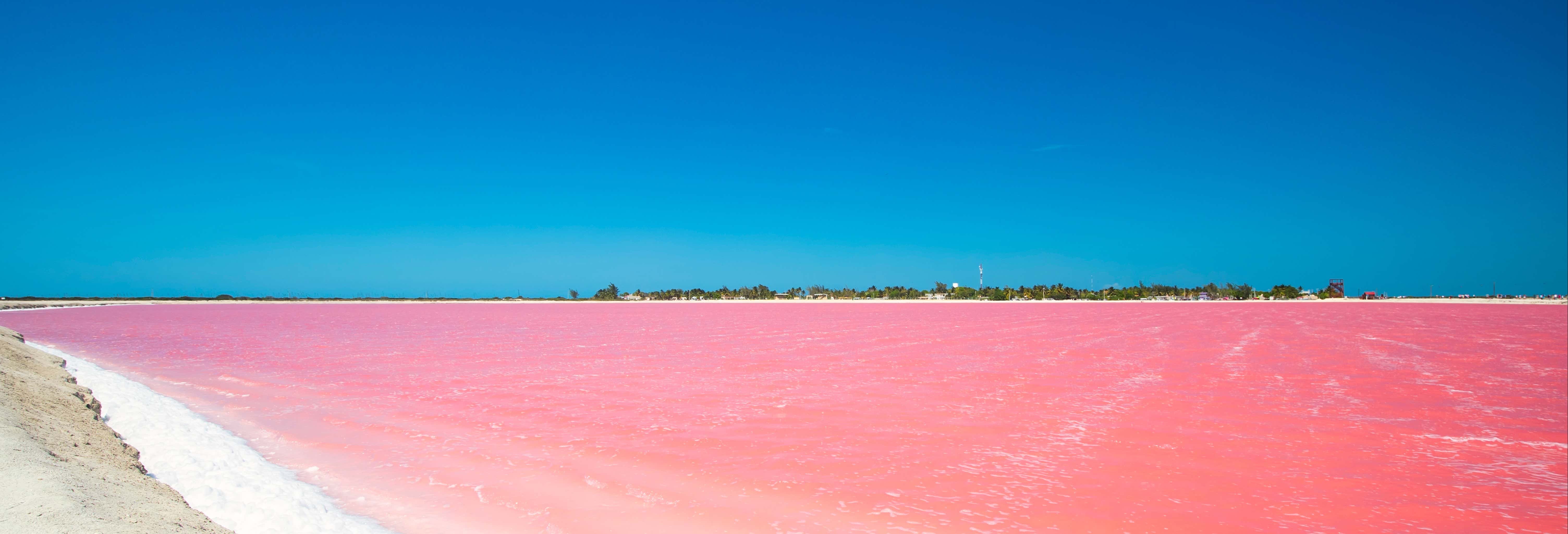 Day Trip to Las Coloradas & Rio Lagartos