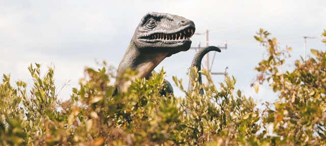 Escursione al Museo del Meteorite e Sendero Jurásico