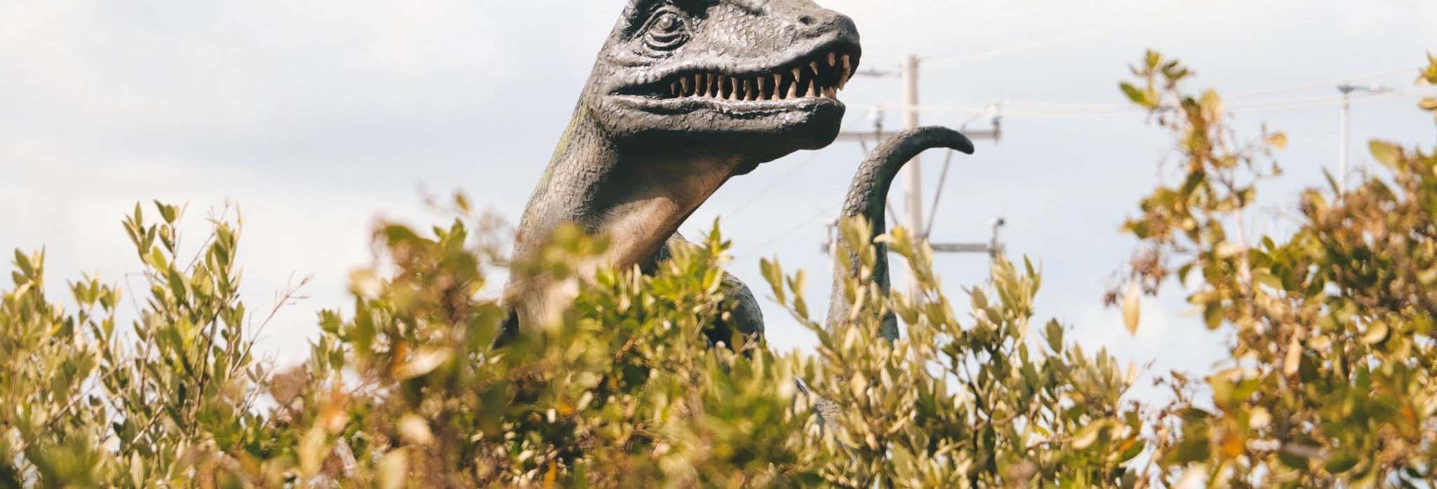 Escursione al Museo del Meteorite e Sendero Jurásico