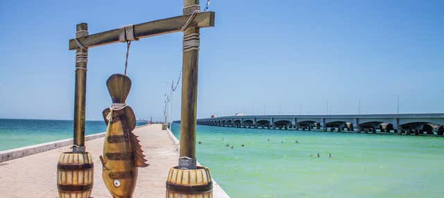 Escursione a Progreso