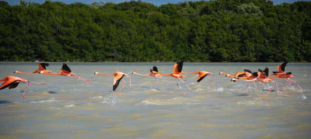 Escursione a Sisal e Celestún