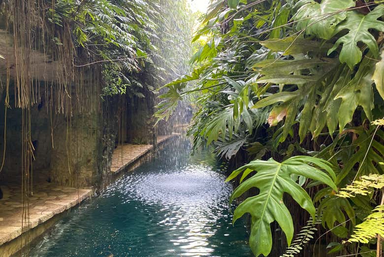 Excursión a la hacienda Mucuyché