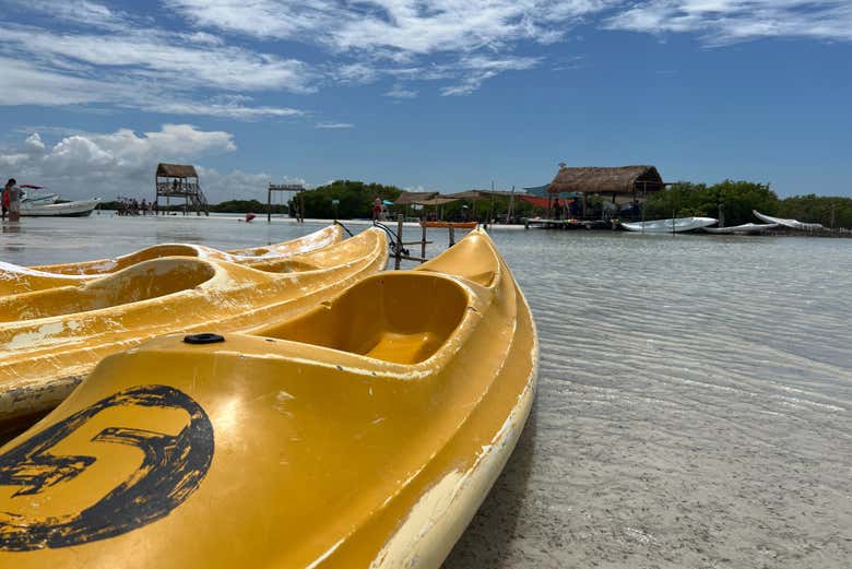 Excursión a la Isla Columpios