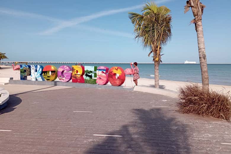 Excursión a Progreso