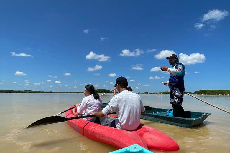 Tour en kayak por los manglares de Sisal