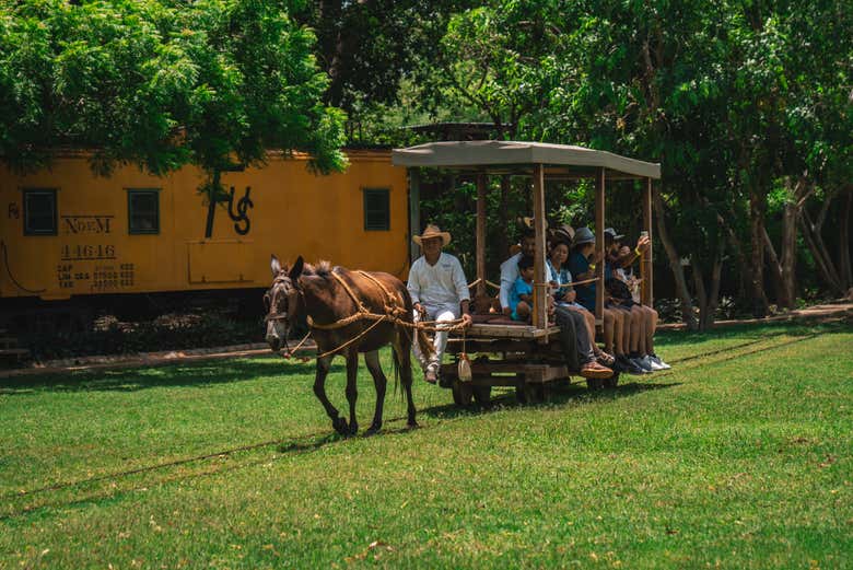 Visita a una hacienda tradicional del Yucatán