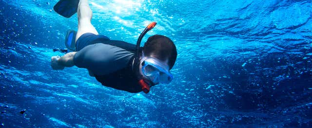 Snorkel en Mérida (Yucatán)