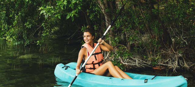 Tour delle mangrovie di Sisal in kayak