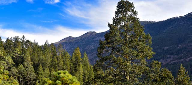 Escursione ad Arteaga