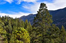 Arteaga Day Trip