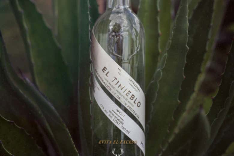 Cata de mezcales en Monterrey