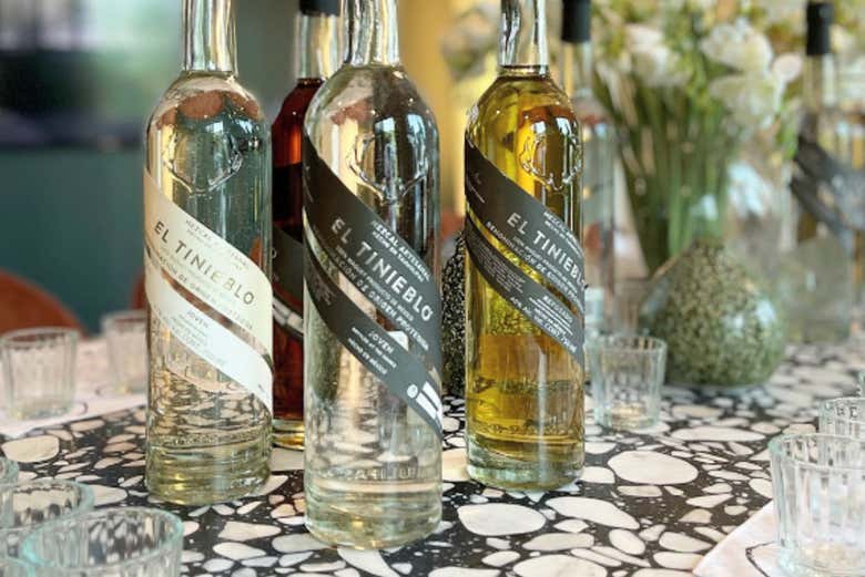 Cata de mezcales en Monterrey