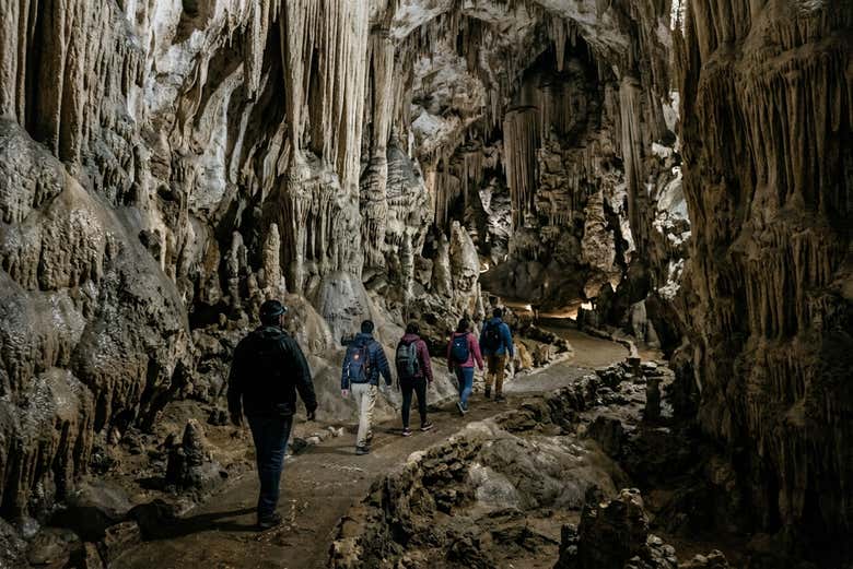 Excursión a Bustamante