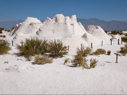 Excursión a Cuatro Ciénegas