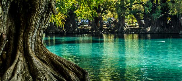 Escursione al santuario di Guadalupe e al lago di Camécuaro