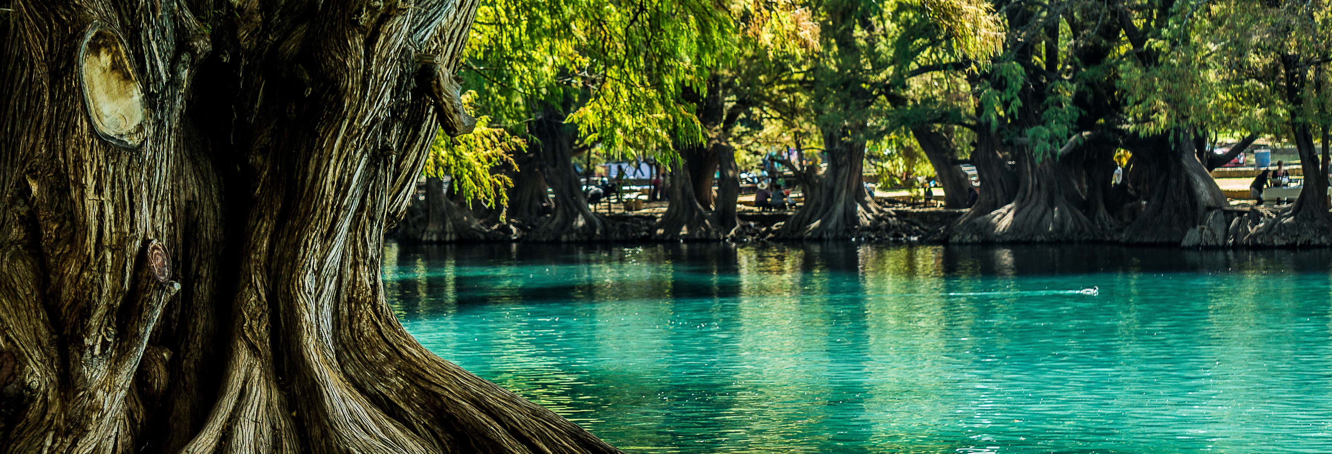 Escursione al santuario di Guadalupe e al lago di Camécuaro