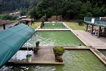 Imagen 4