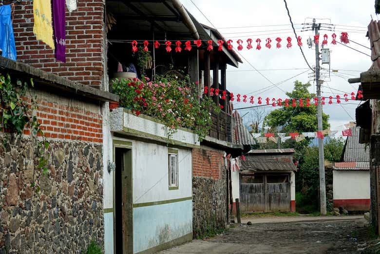 Imagen 6